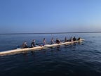 IMG 4102